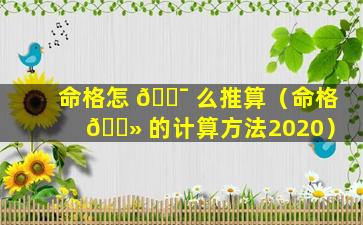 命格怎 🐯 么推算（命格 🌻 的计算方法2020）